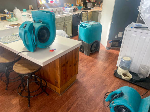 Best Water damage restoration near me  in Choudrant, LA