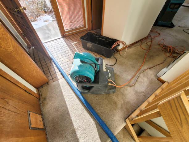 Best Emergency water damage restoration  in Choudrant, LA