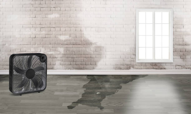 Best Flood restoration services  in Choudrant, LA