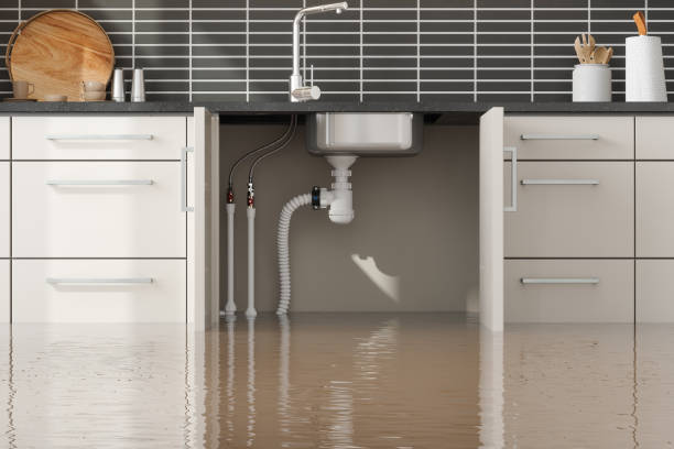 Best Mold removal after water damage  in Choudrant, LA